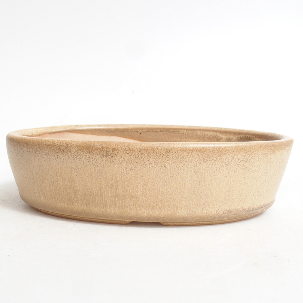 Cuenco bonsái de cerámica 16,5 x 11 x 4 cm, color beige