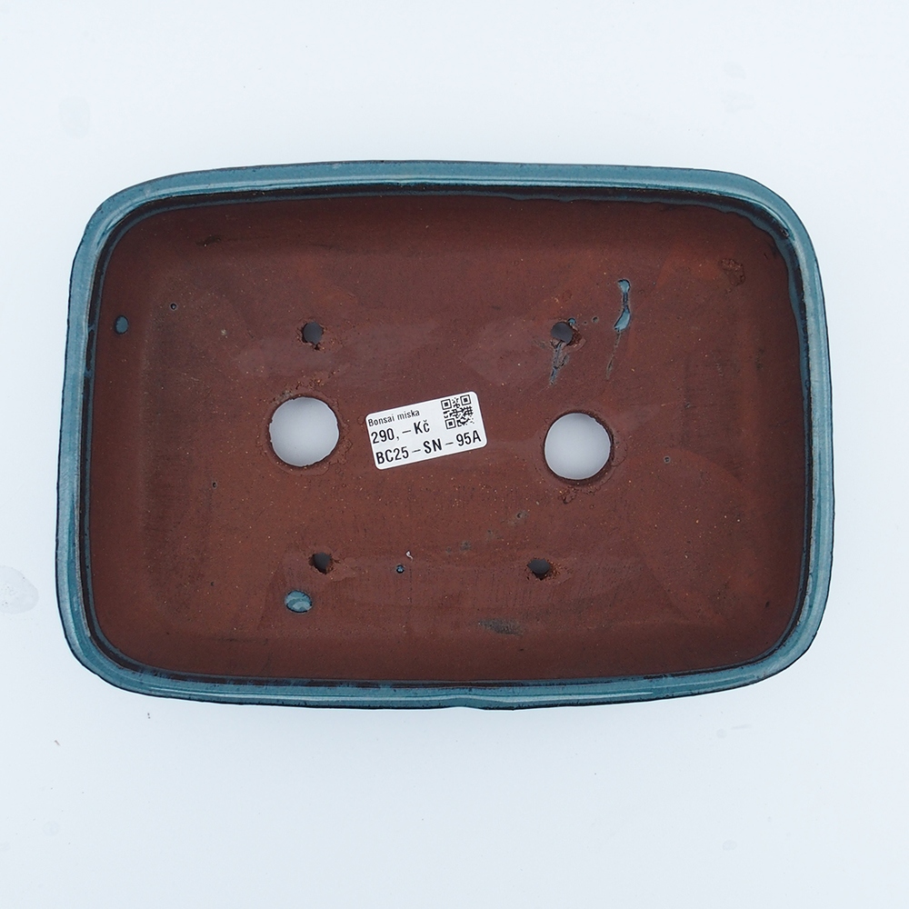 Cuenco 25 x 18 x 6 cm azul