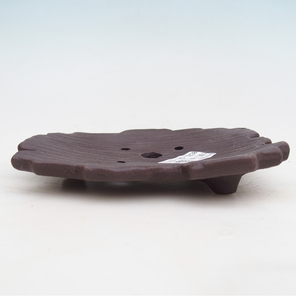 Concha de cerámica 16 x 12 x 3 cm , color marrón