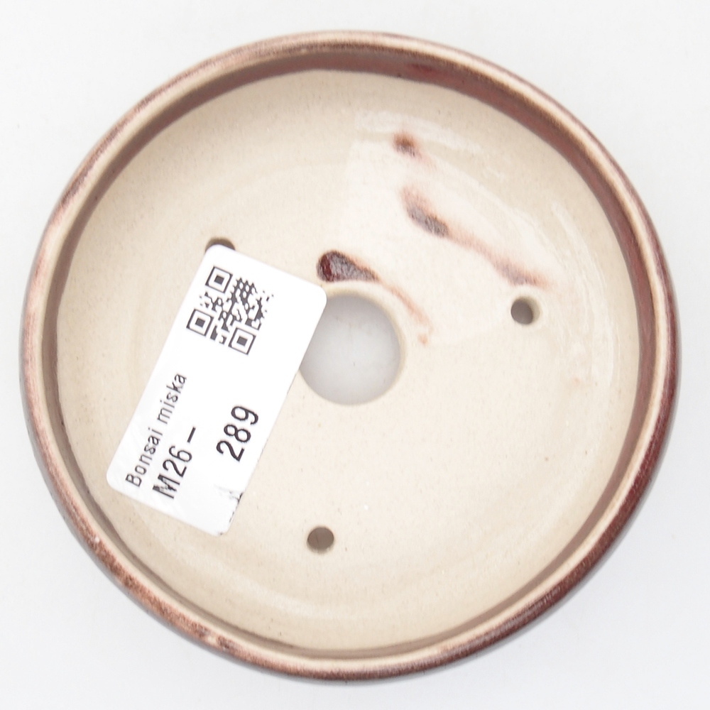 Cuenco mini bonsái 9 x 9 x 2,5 cm, color rojo