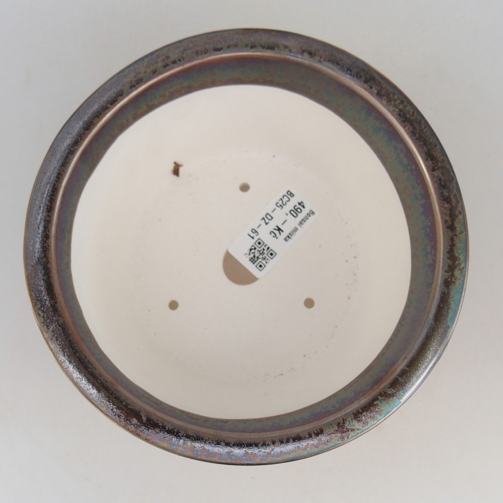 Cuenco bonsái de cerámica 16 x 16 x 8,5 cm, color dorado