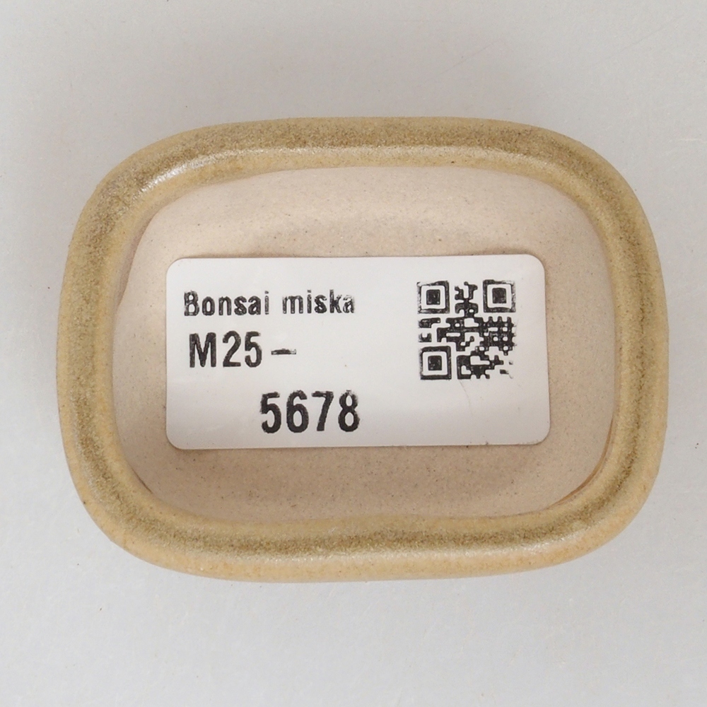 Cuenco mini bonsái 5,5 x 4 x 2 cm, marrón