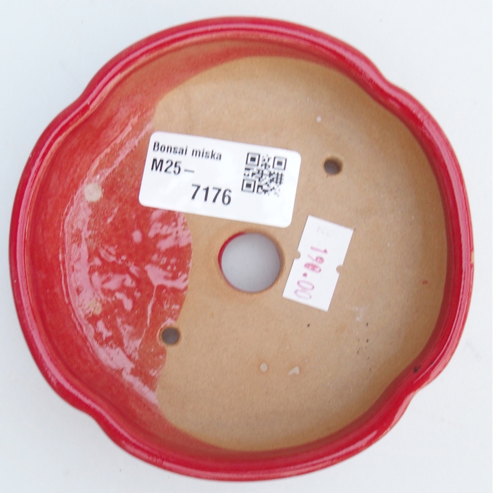Cuenco bonsái de cerámica 11 x 11 x 3 cm, color rojo