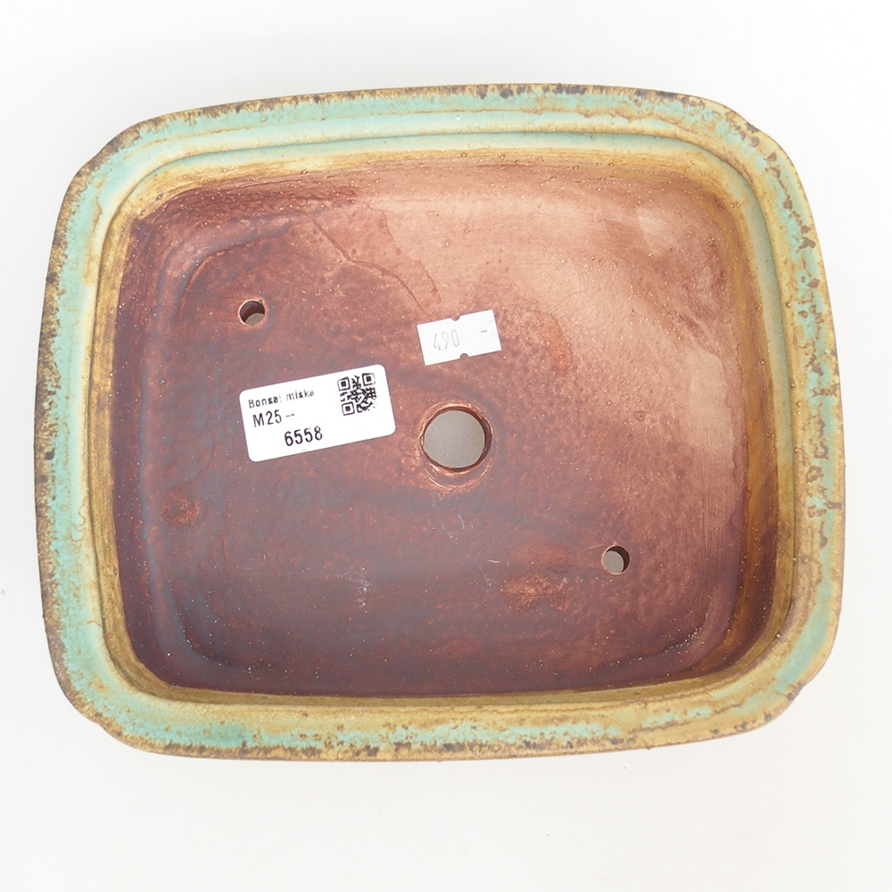 Cuenco bonsái de cerámica 20 x 17 x 6 cm, verde