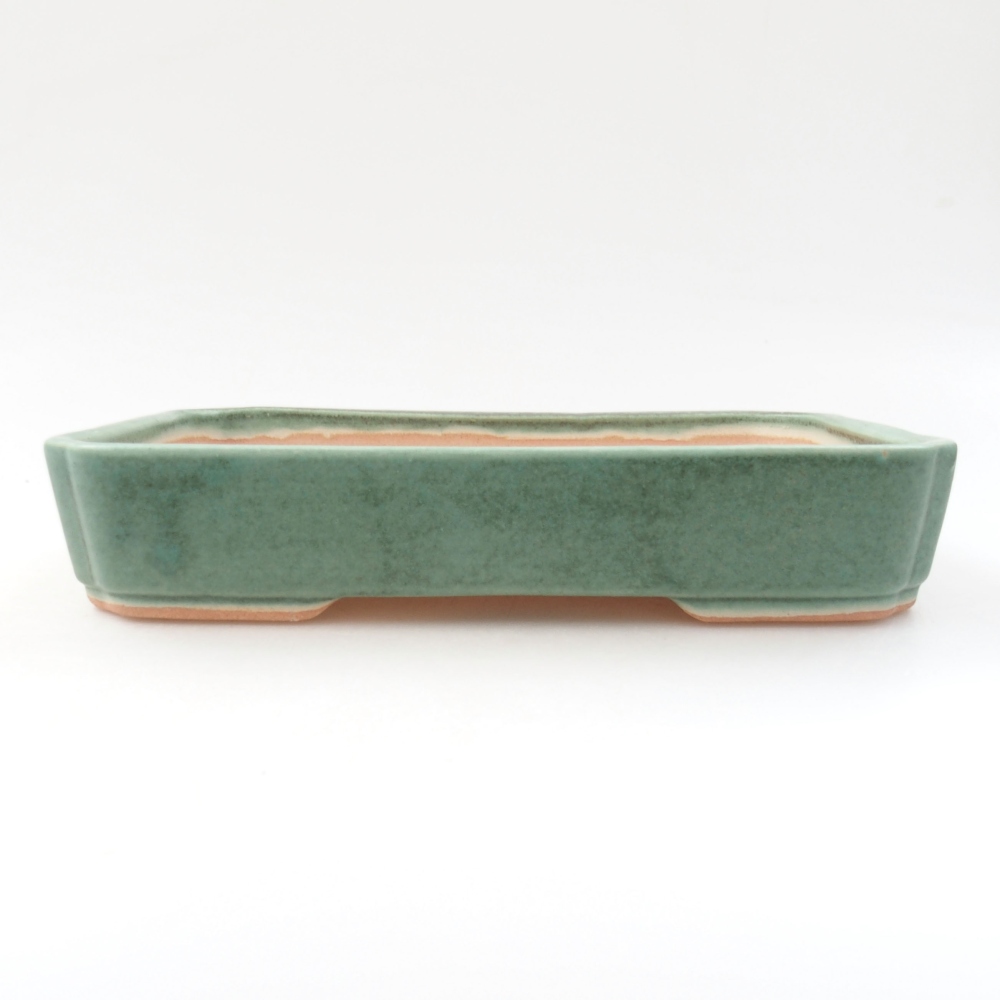 Cuenco bonsái de cerámica 22 x 17 x 5 cm, verde