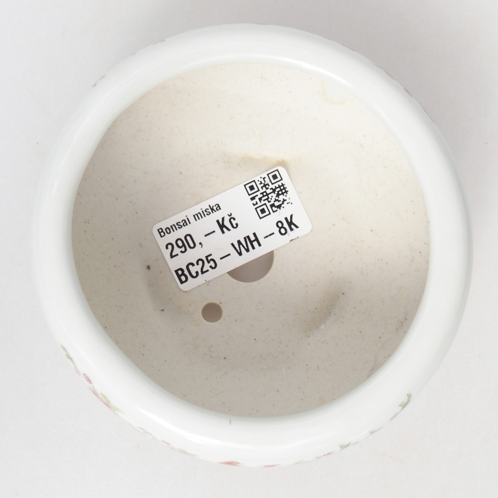 Cuenco bonsái de cerámica 10 x 10 x 5 cm, color blanco