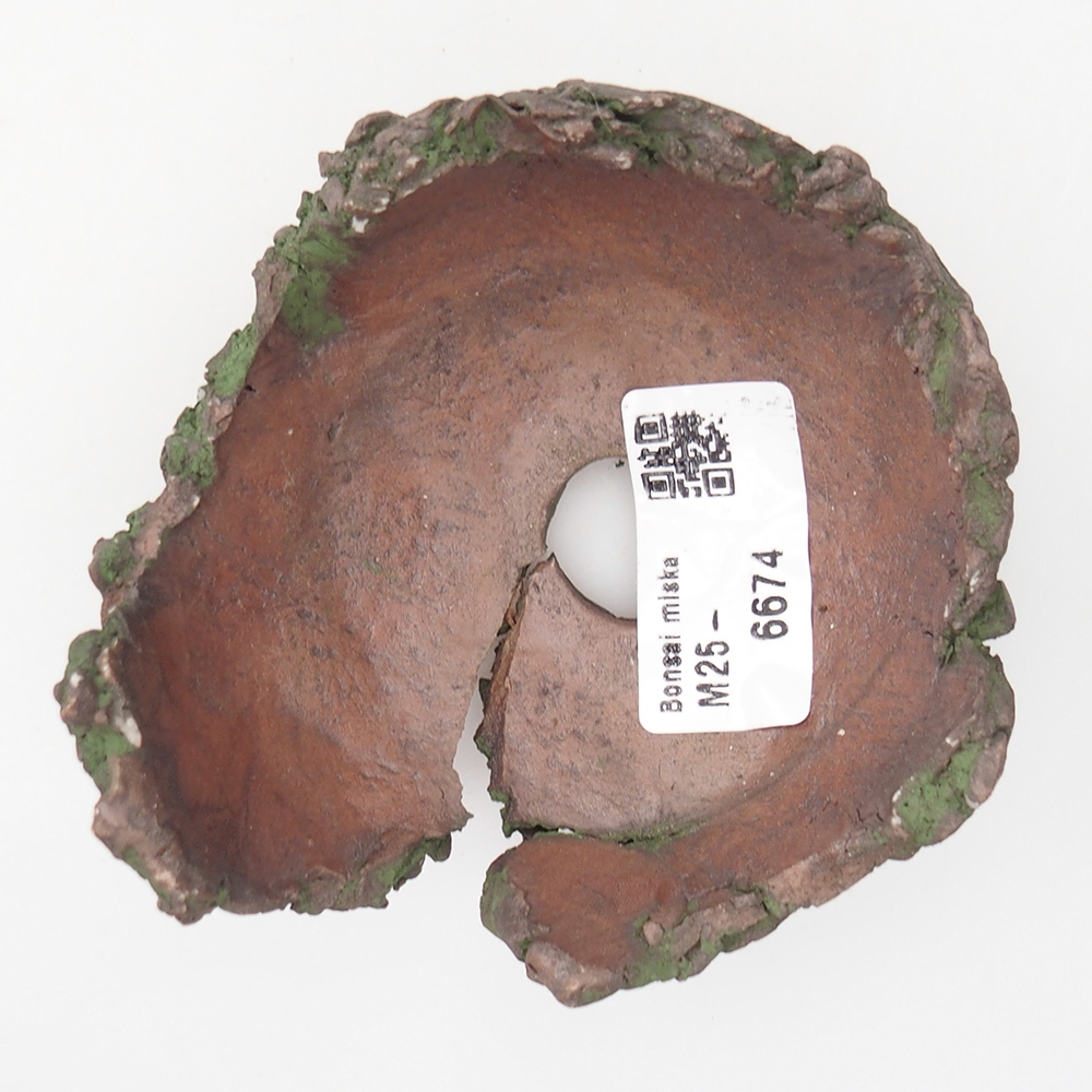 Concha de cerámica 9 x 9,5 x 5,5 cm , color verde