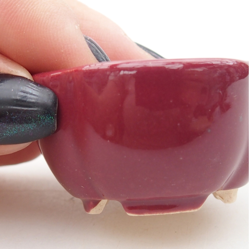 Cuenco mini bonsái 4 x 4 x 2 cm, burdeos