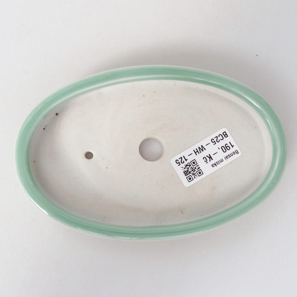 Cuenco bonsái de cerámica 15,5 x 10 x 2 cm, verde