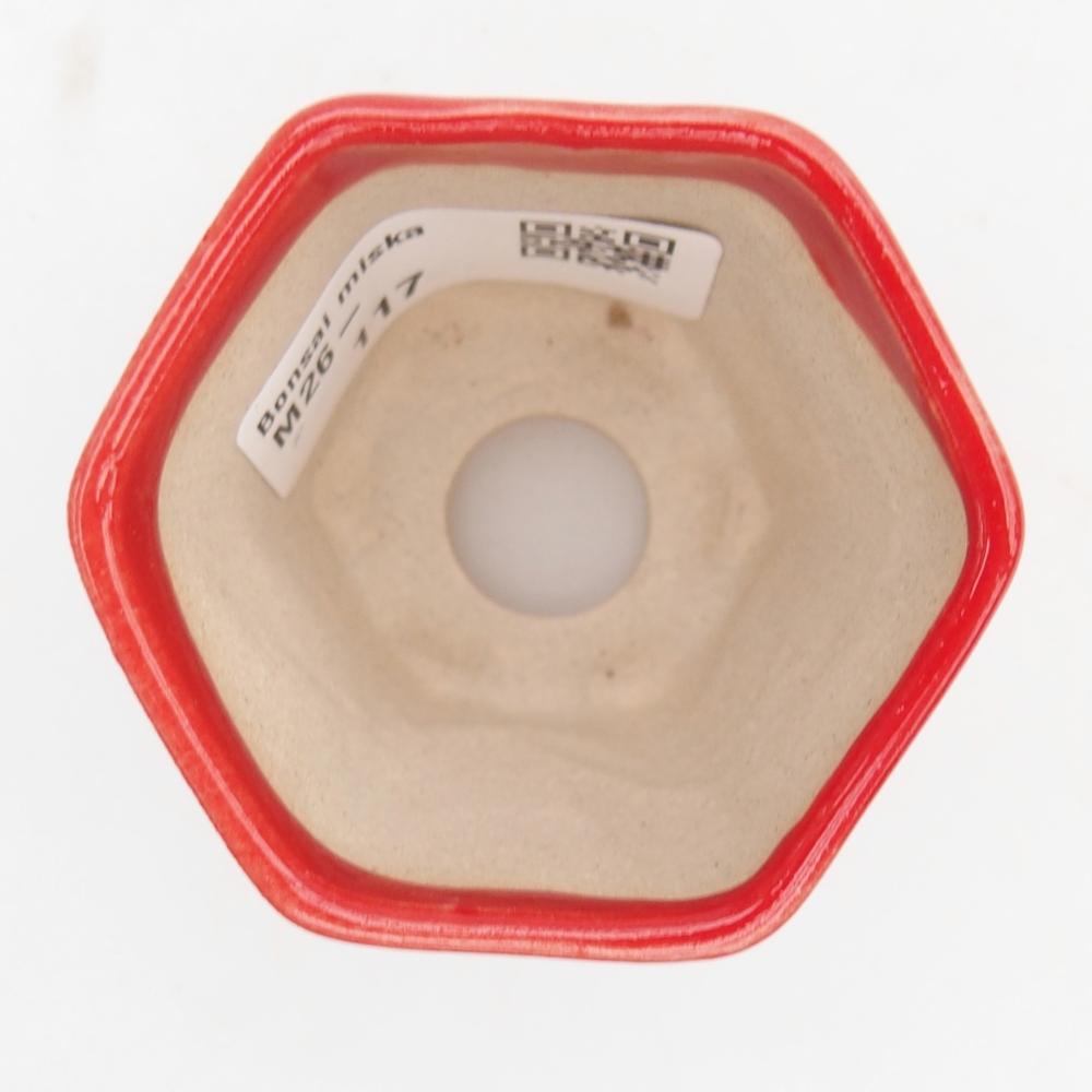 Mini cuenco bonsái 5,5 x 5 x 5 cm, color rojo