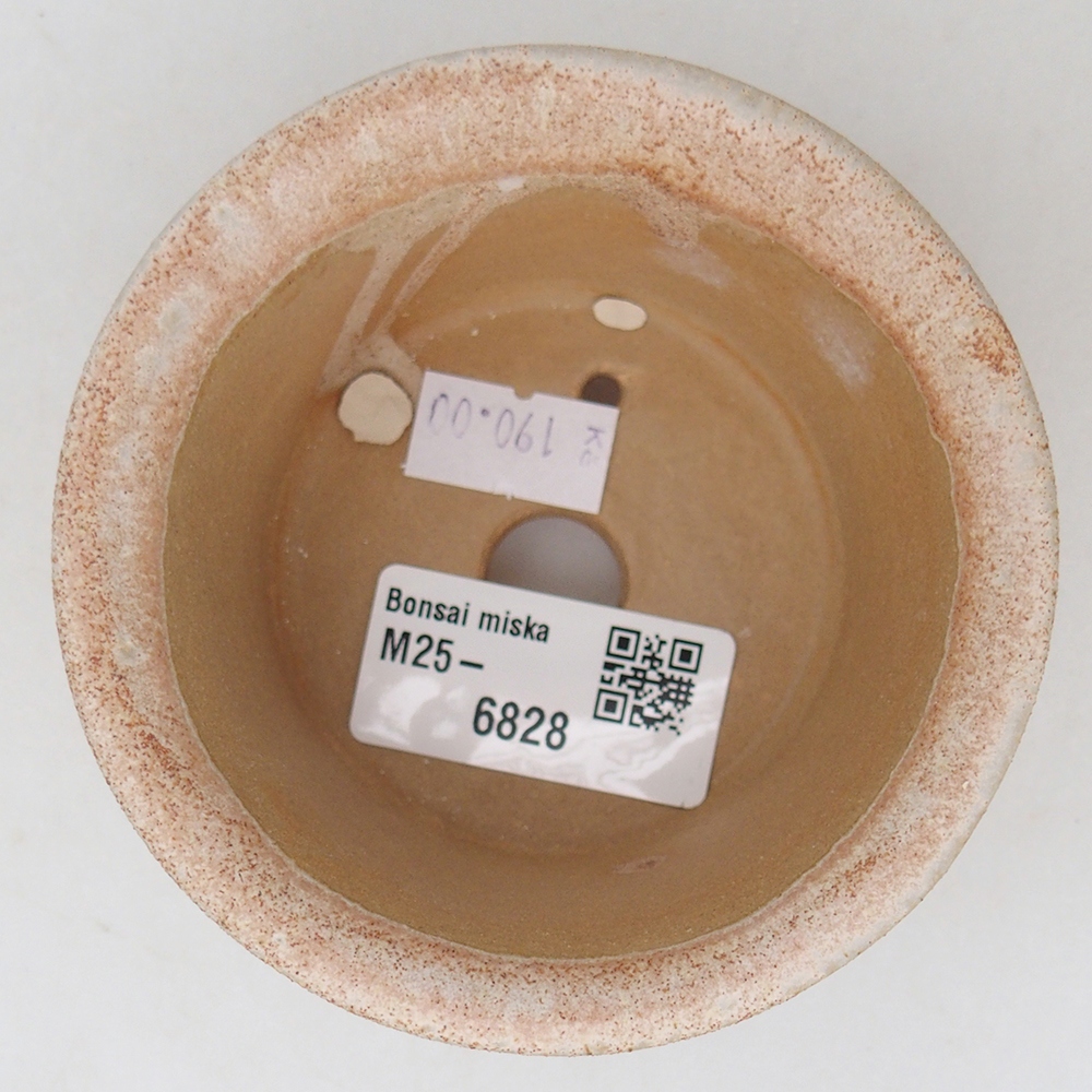 Cuenco bonsái de cerámica 9 x 9 x 5 cm, color beige