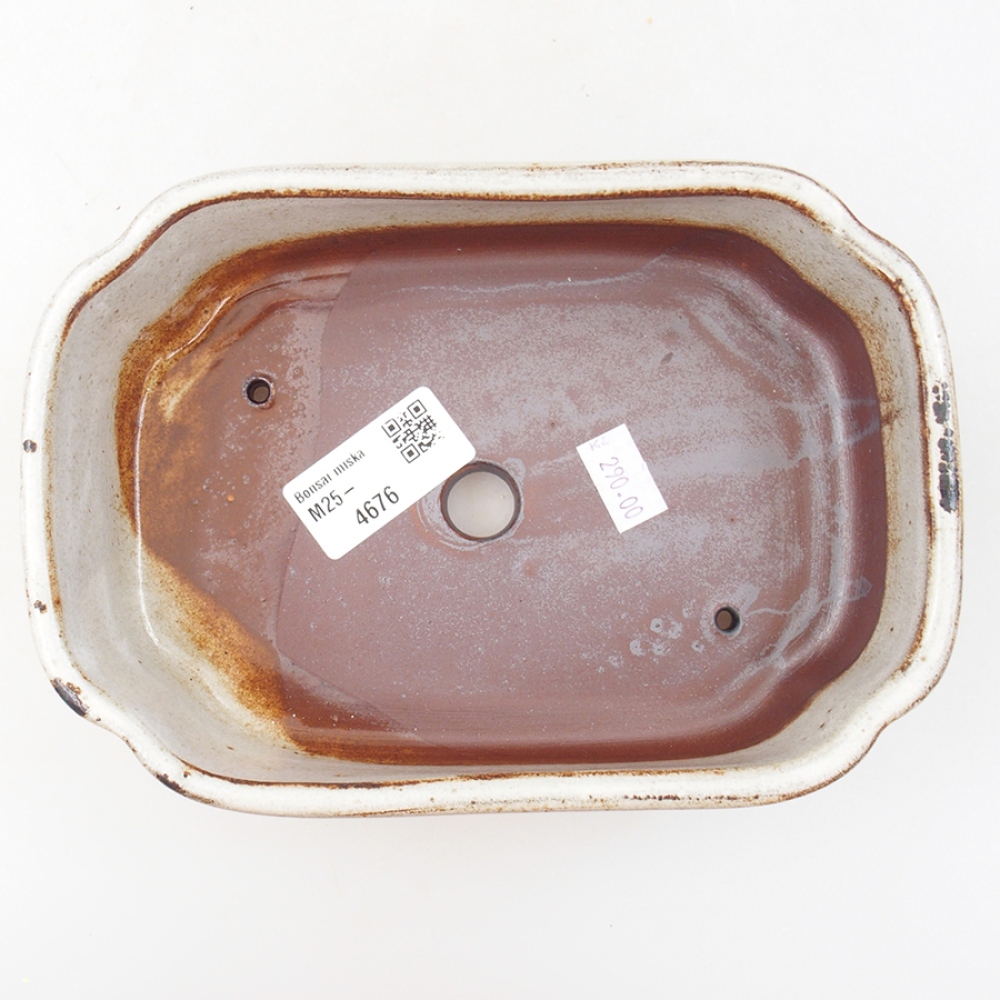 Cuenco bonsái de cerámica 18 x 13 x 5 cm, blanco