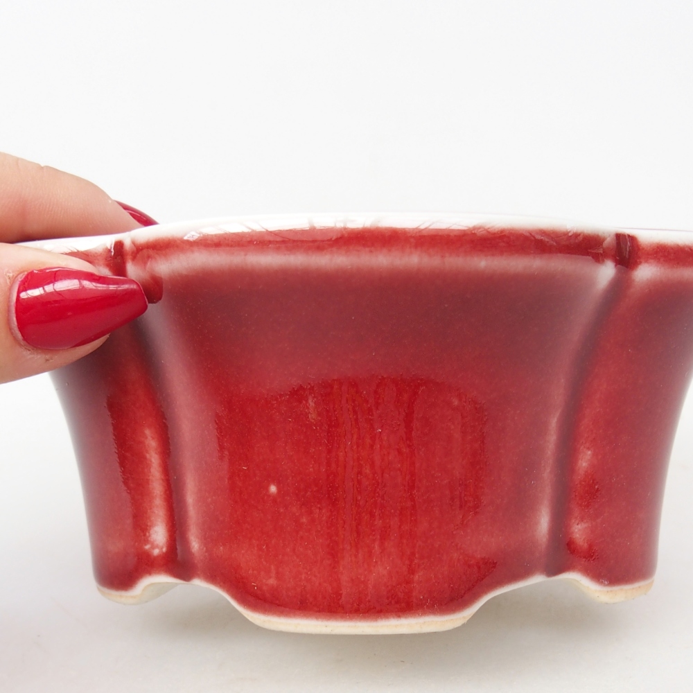 Cuenco bonsái de cerámica 12,5 x 10 x 5,5 cm, color rojo