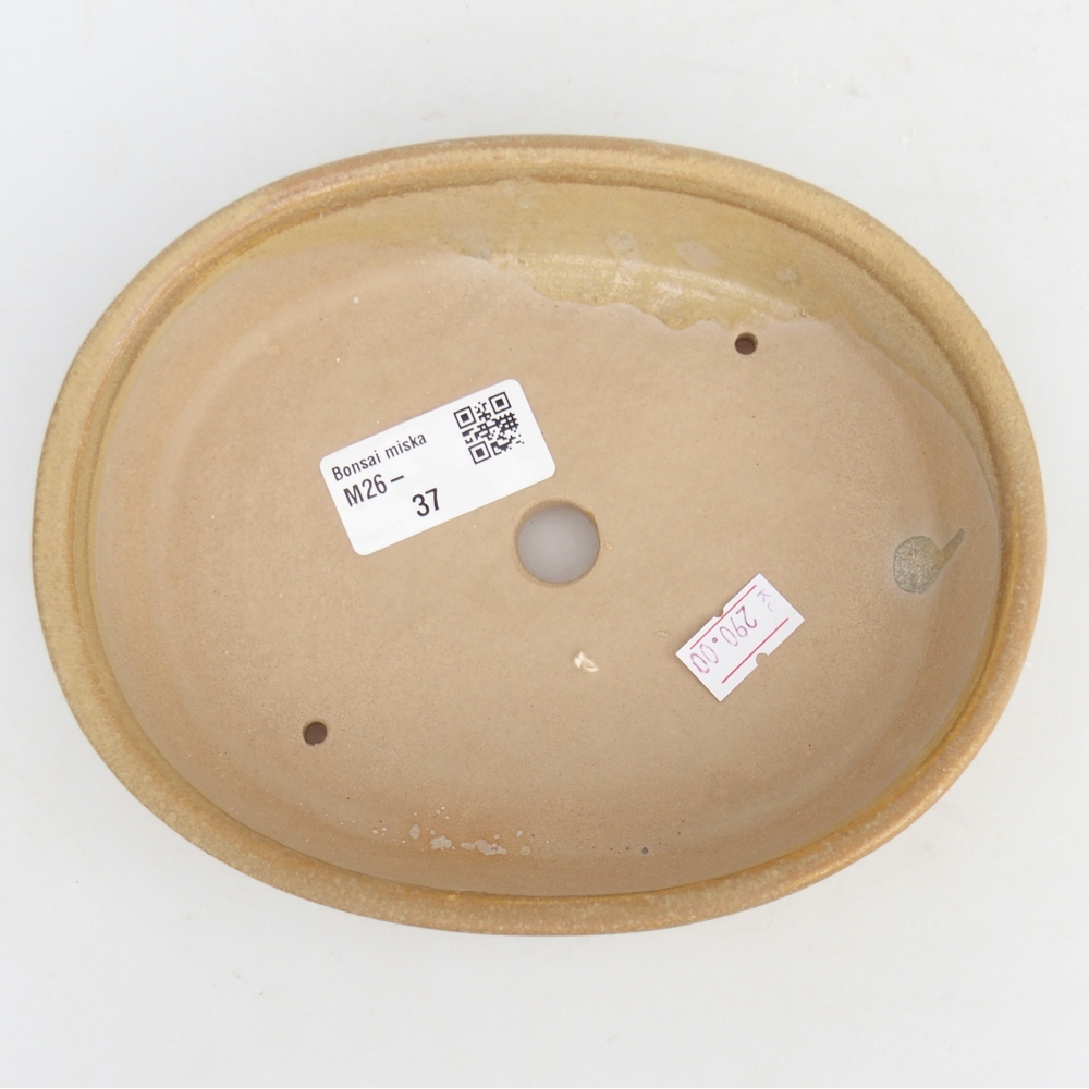 Cuenco bonsái de cerámica 17 x 14 x 4 cm, color beige