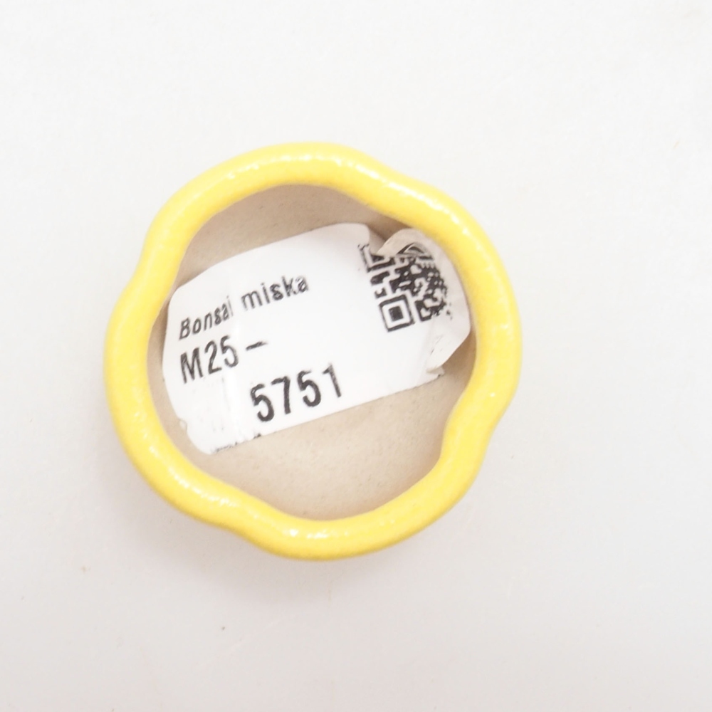 Cuenco bonsái de cerámica 4 x 4 x 2 cm, amarillo