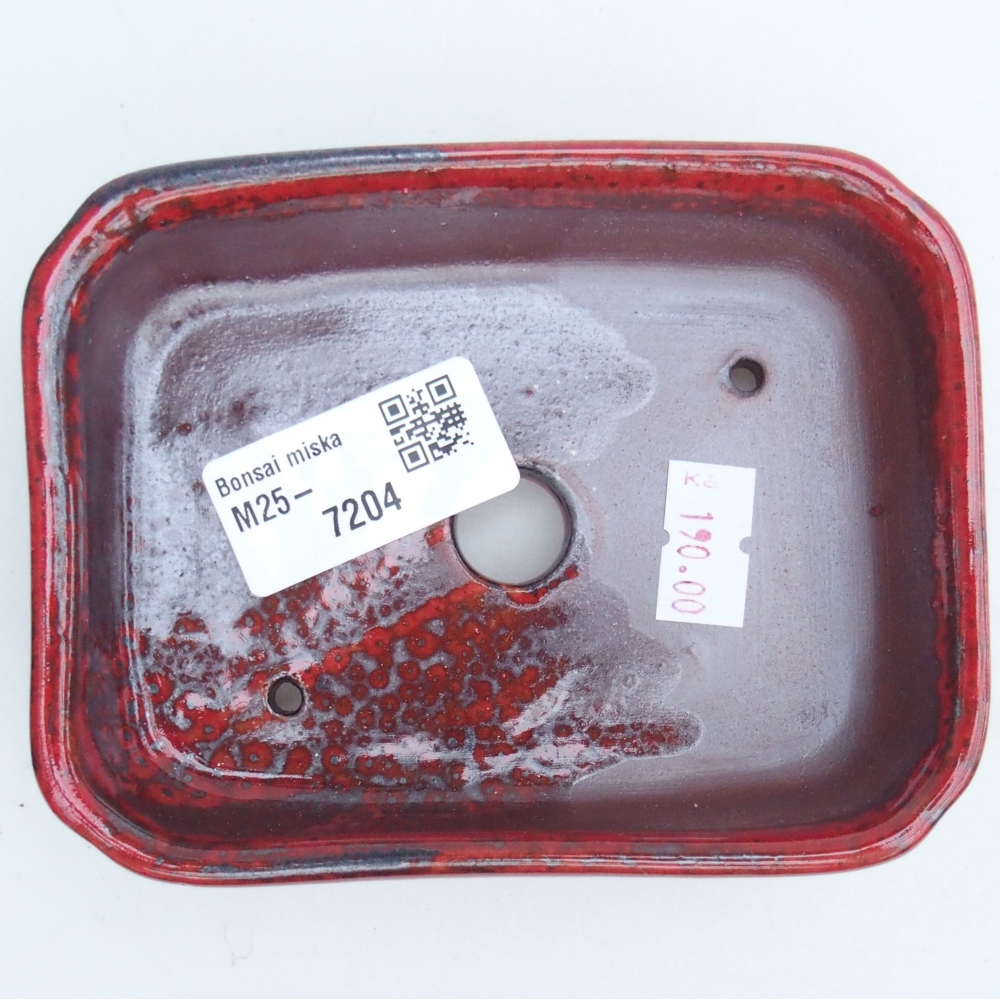Cuenco bonsái de cerámica 12 x 9 x 3 cm, color rojo