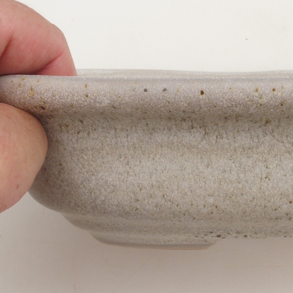 Cuenco bonsái H25 - 23 x 17 x 5,5 cm - beige