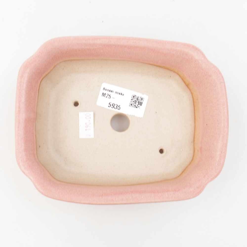 Cuenco bonsái de cerámica 22 x 17 x 5 cm, verde