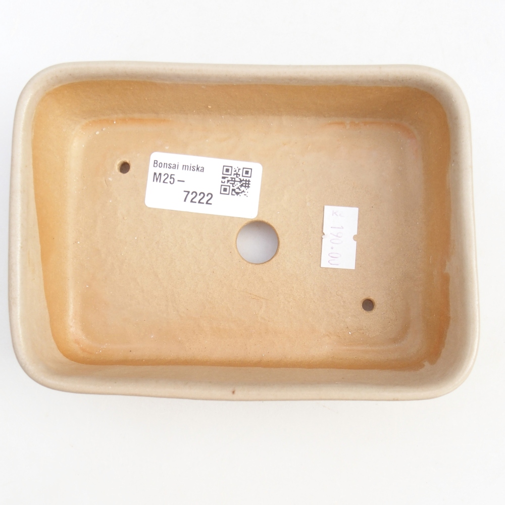 Cuenco bonsái de cerámica 14,5 x 10,5 x 4,5 cm, color beige