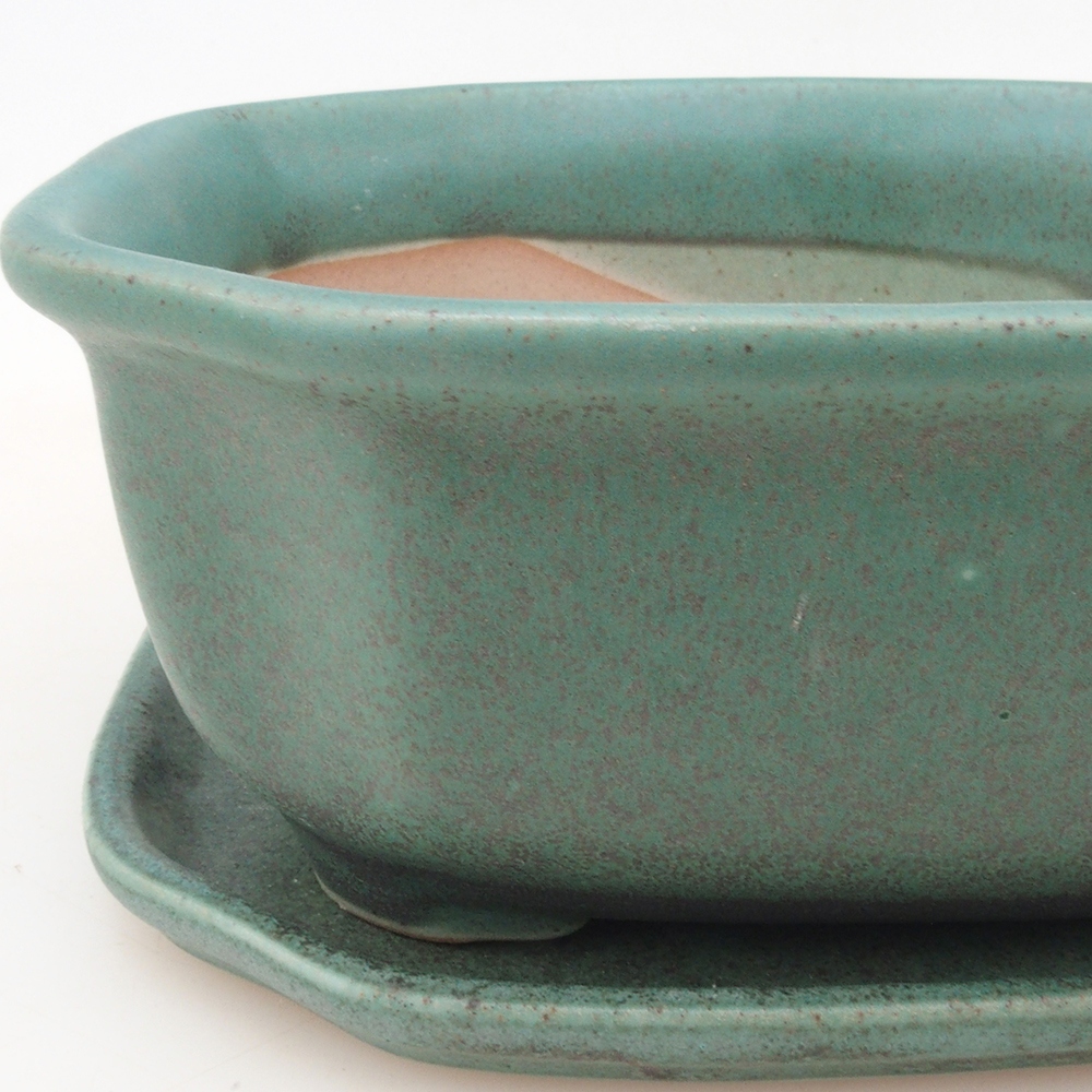 Bonsai cuenco + platillo H31 - verde