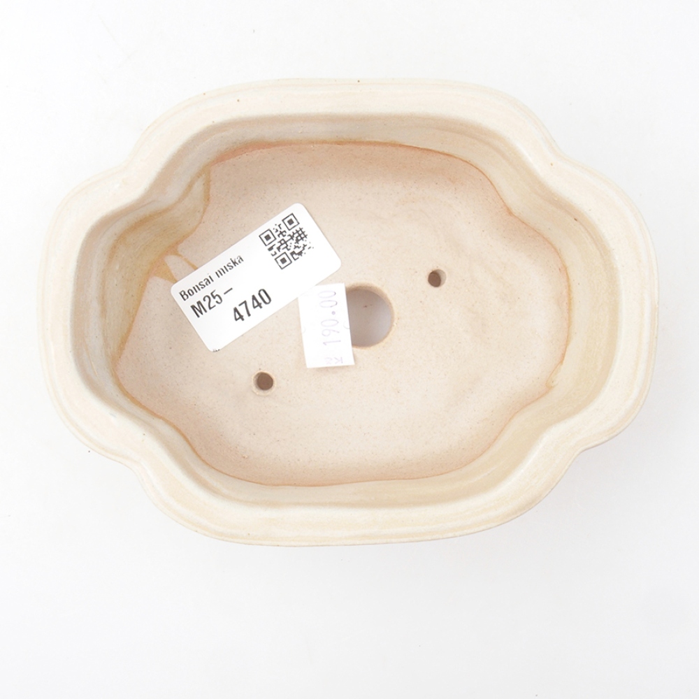 Cuenco bonsái de cerámica 13,5 x 10 x 5 cm, color beige