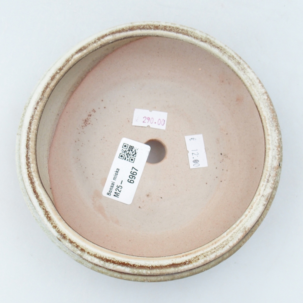 Cuenco bonsái de cerámica 15 x 15 x 5 cm, verde