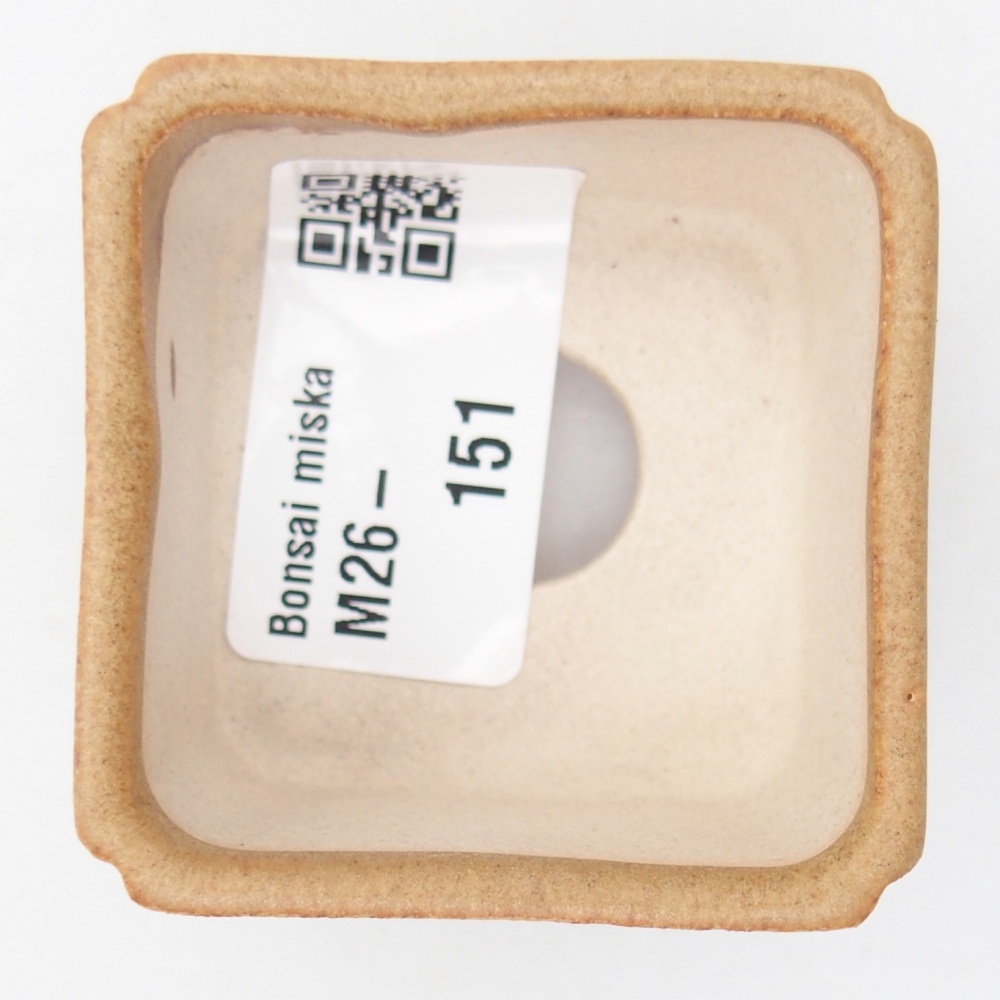 Mini cuenco bonsái 5 x 5 x 3 cm, marrón