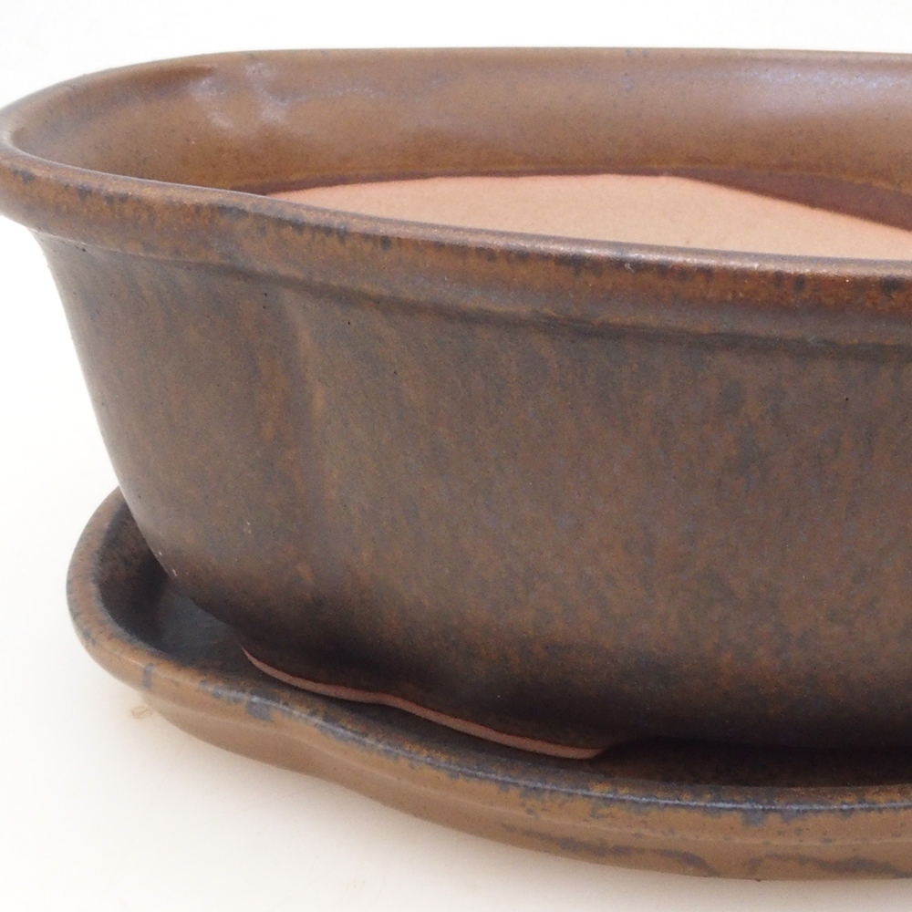 Bonsai cuenco + platillo H75 - marrón