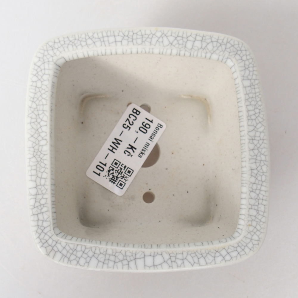 Cuenco bonsái de cerámica 9,5 x 9,5 x 5 cm, color raku