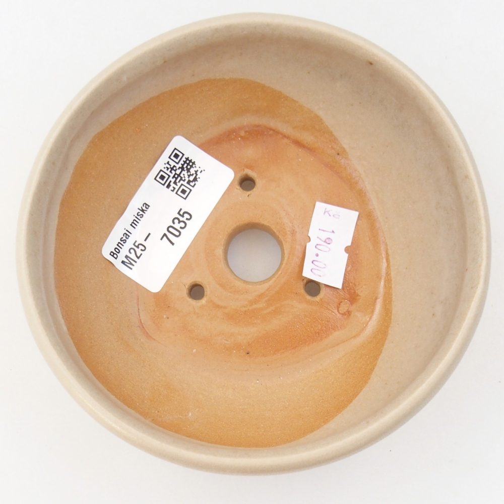 Cuenco bonsái de cerámica 10 x 10 x 5 cm, color beige