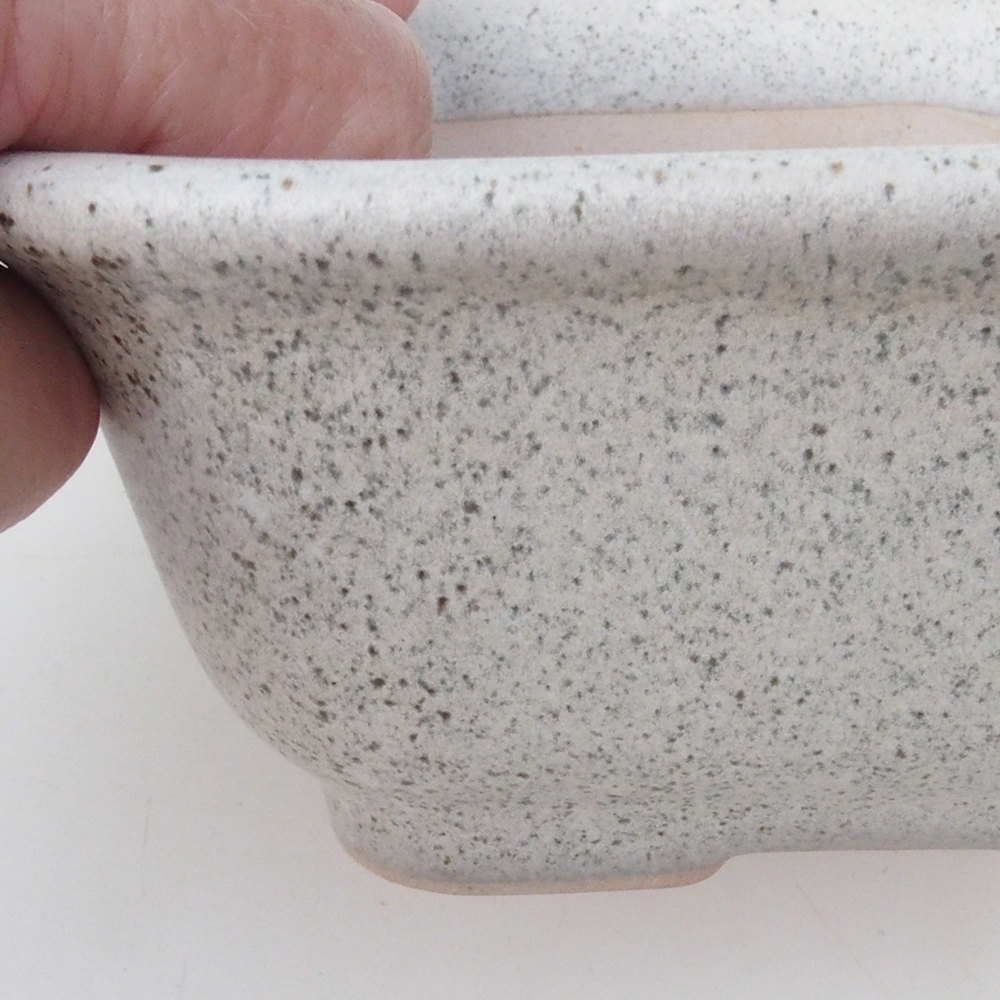 Cuenco bonsái H38 - 12 x 10 x 5,5 cm - beige