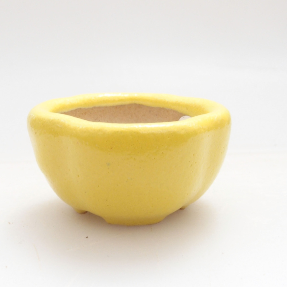 Cuenco bonsái de cerámica 4 x 4 x 2 cm, amarillo