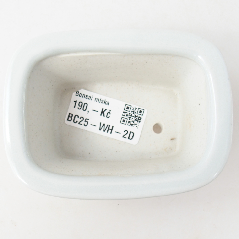 Cuenco mini bonsái 10 x 7,5 x 4 cm, color blanco
