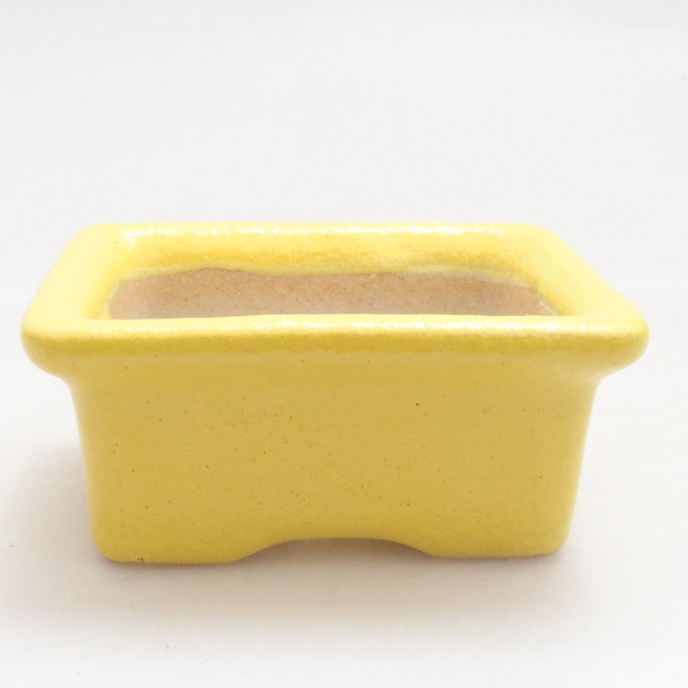 Cuenco bonsái de cerámica 5,5 x 4 x 2,5 cm, amarillo