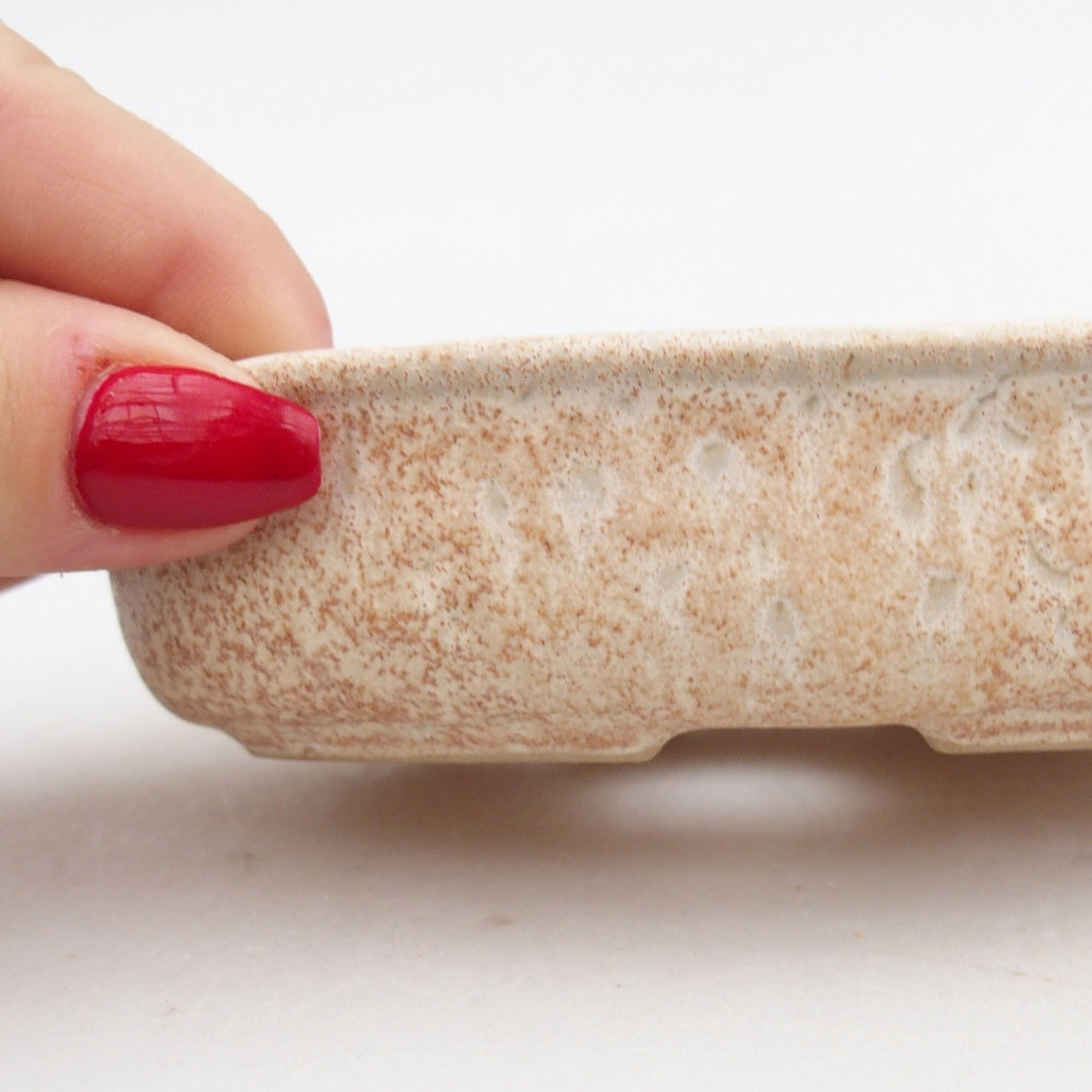 Cuenco bonsái de cerámica 12 x 8,5 x 3 cm, color beige