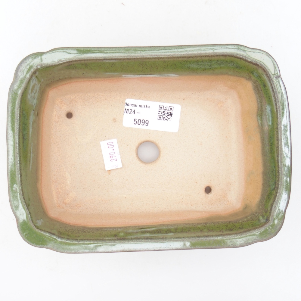 Cuenco bonsái de cerámica 17,5 x 12,5 x 6 cm, verde