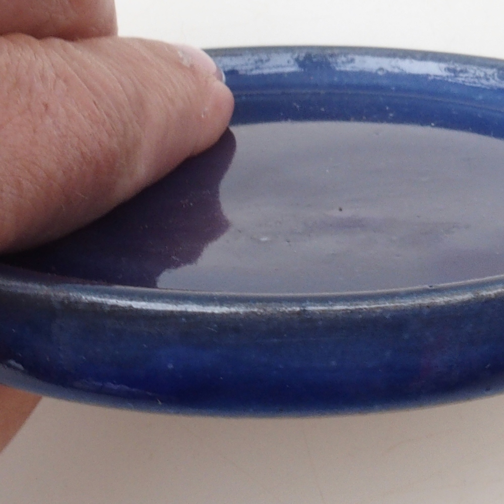 Contenedor redondo para bonsái D6-S - 10 x 10 x 1 cm - azul