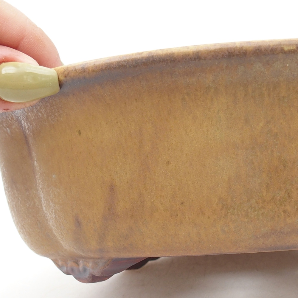 Cuenco bonsái de cerámica 19 x 17 x 6 cm, verde