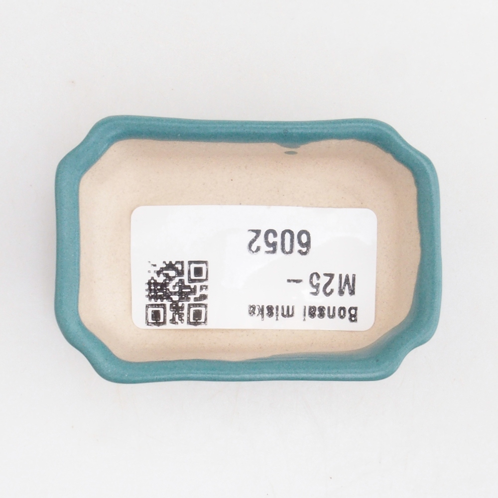 Cuenco bonsái de cerámica 6,5 x 5,5 x 4 cm, color azul