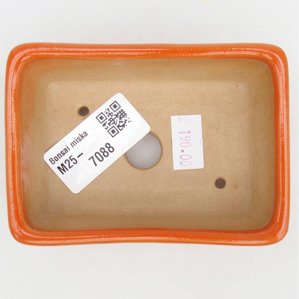 Cuenco bonsái de cerámica 10 x 7 x 3 cm, naranja