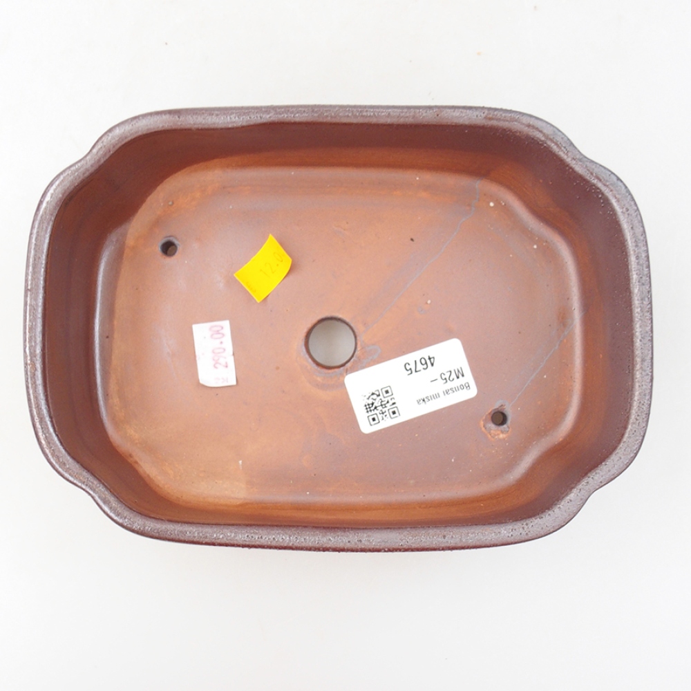 Cuenco bonsái de cerámica 18 x 13 x 5 cm, marrón