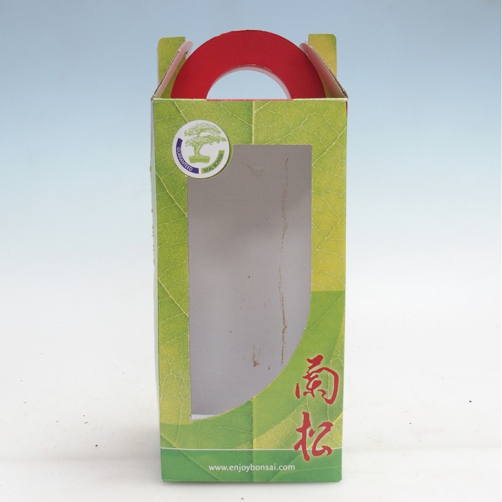 Caja regalo bonsái - papel