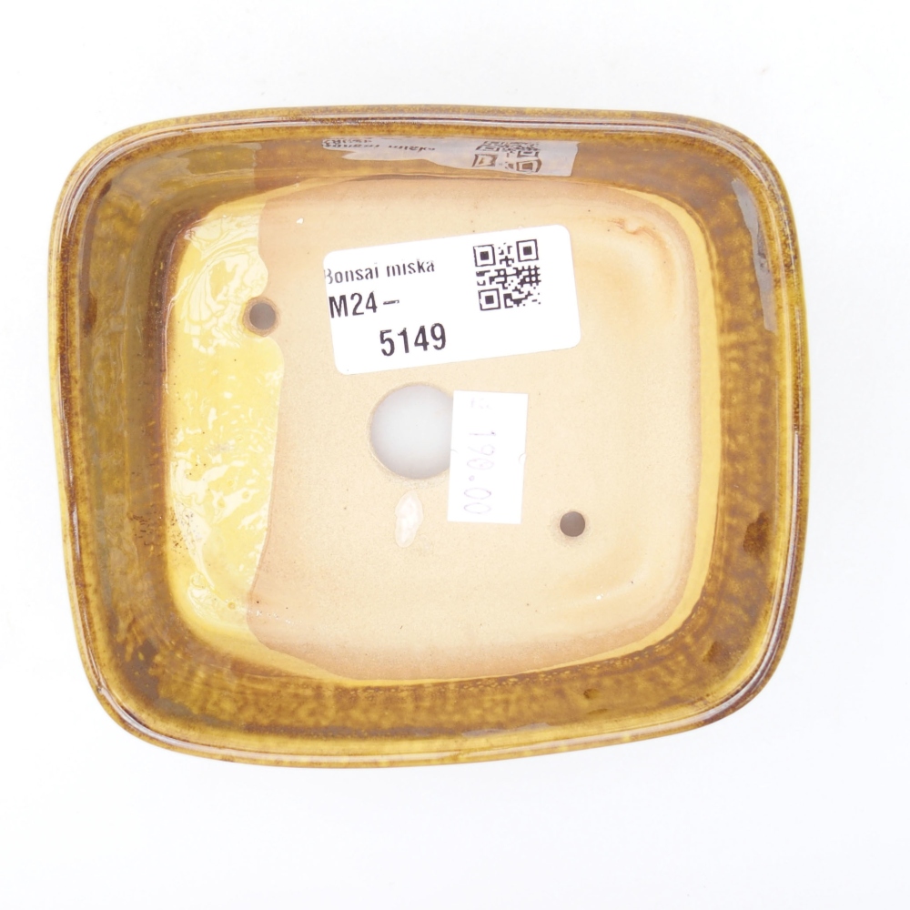 Cuenco bonsái de cerámica 11 x 9,5 x 4,5 cm, amarillo