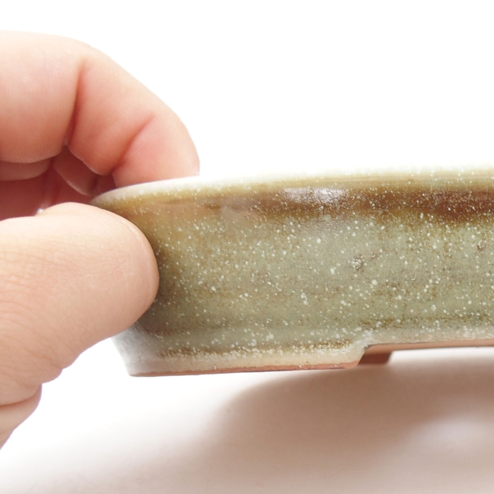 Cuenco bonsái de cerámica 22 x 17 x 5 cm, verde