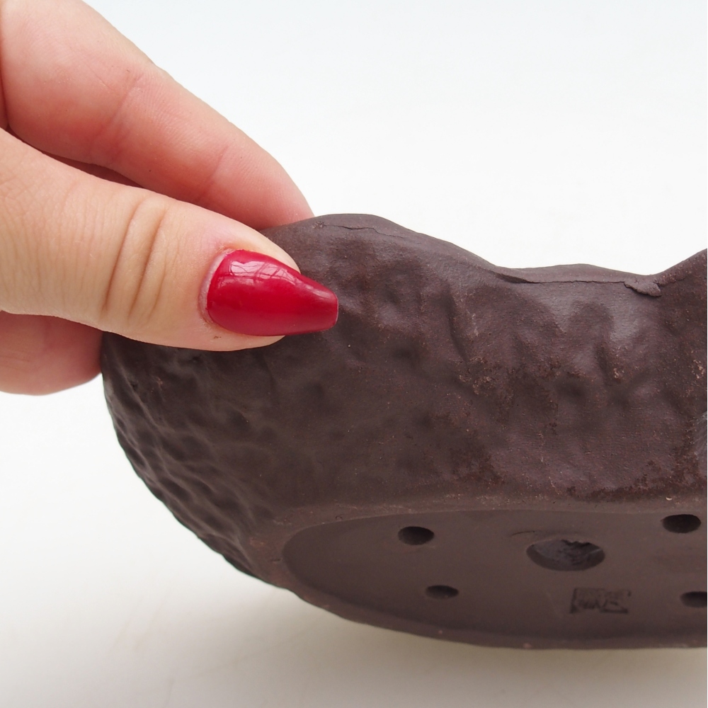 Concha de cerámica 17 x 12 x 3 cm , color marrón