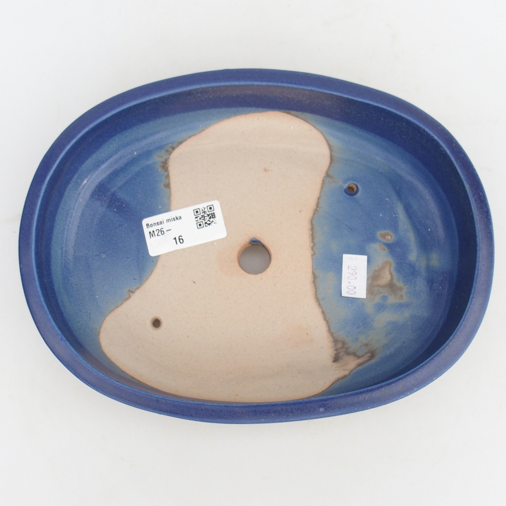 Cuenco bonsái de cerámica 22,5 x 17 x 4,5 cm, color azul