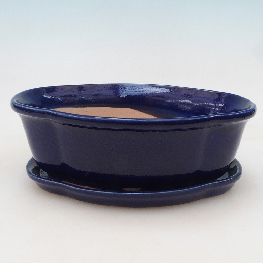 Bonsai cuenco + platillo H75 - azul