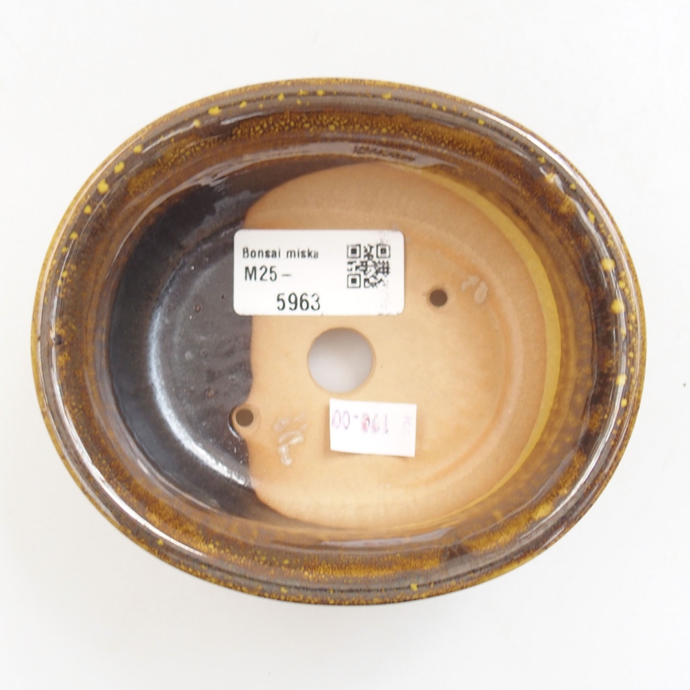 Cuenco bonsái de cerámica 22 x 17 x 5 cm, verde