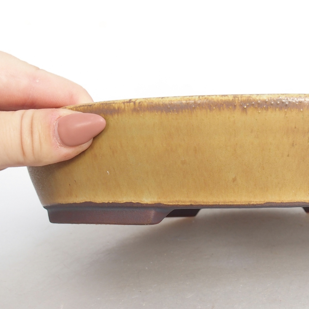 Cuenco bonsái de cerámica 22,5 x 20 x 4,5 cm, verde