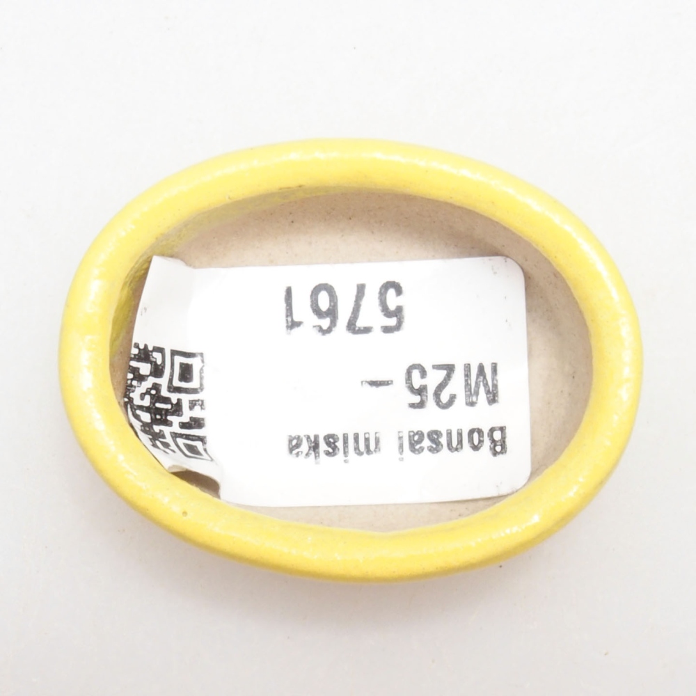 Cuenco bonsái de cerámica 4 x 3 x 1,5 cm, amarillo